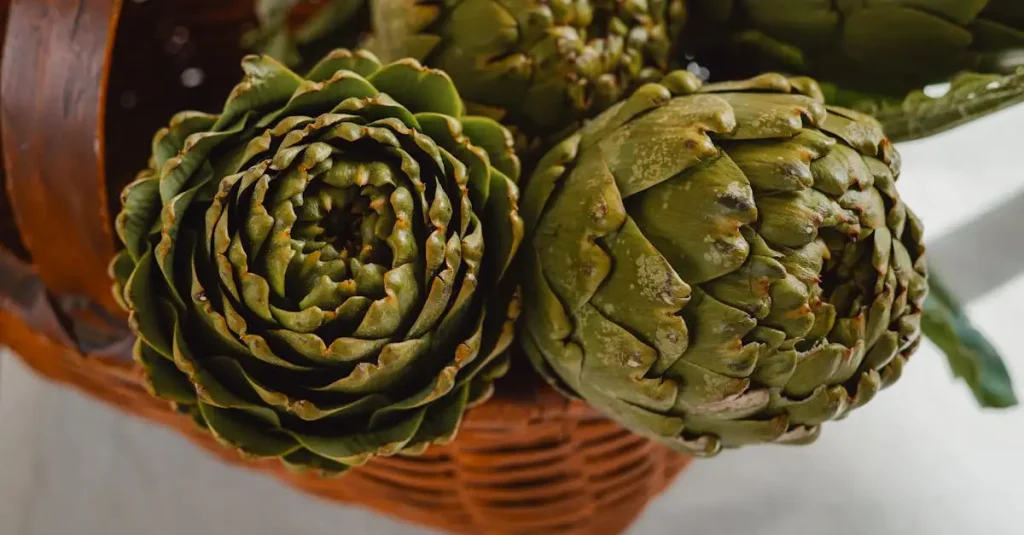 Veganistische kookworkshop