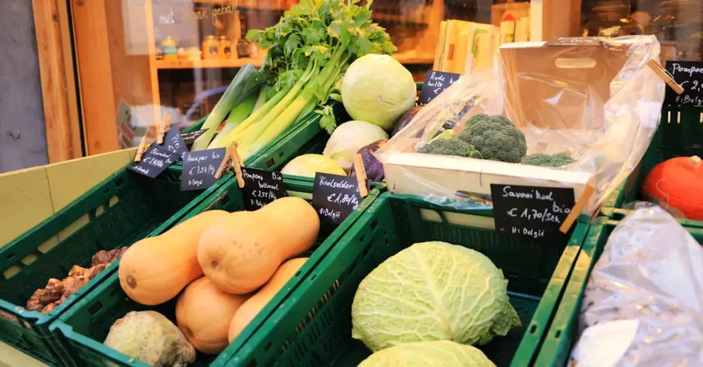 Veganistische winkel antwerpen