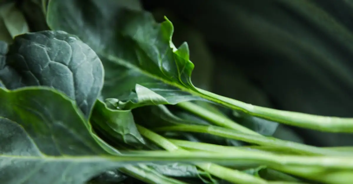 Veganistische boerenkool recepten