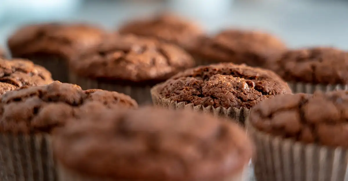 Veganistische chocolade muffins