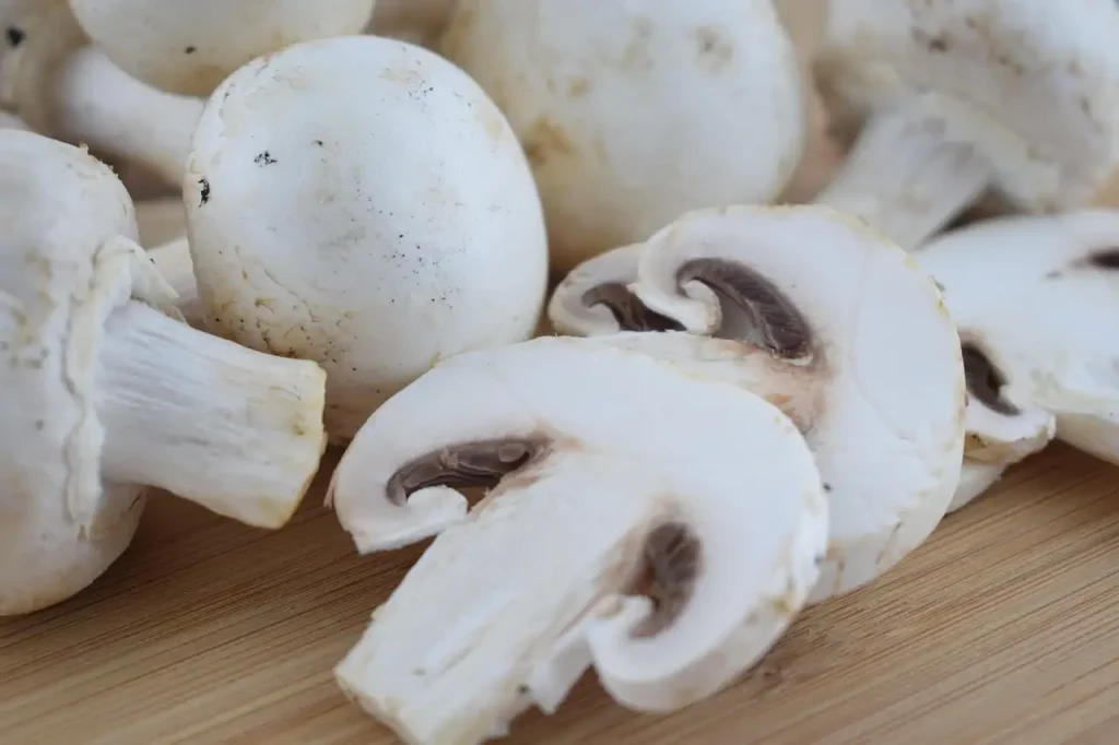 Veganistische hartige taart champignons