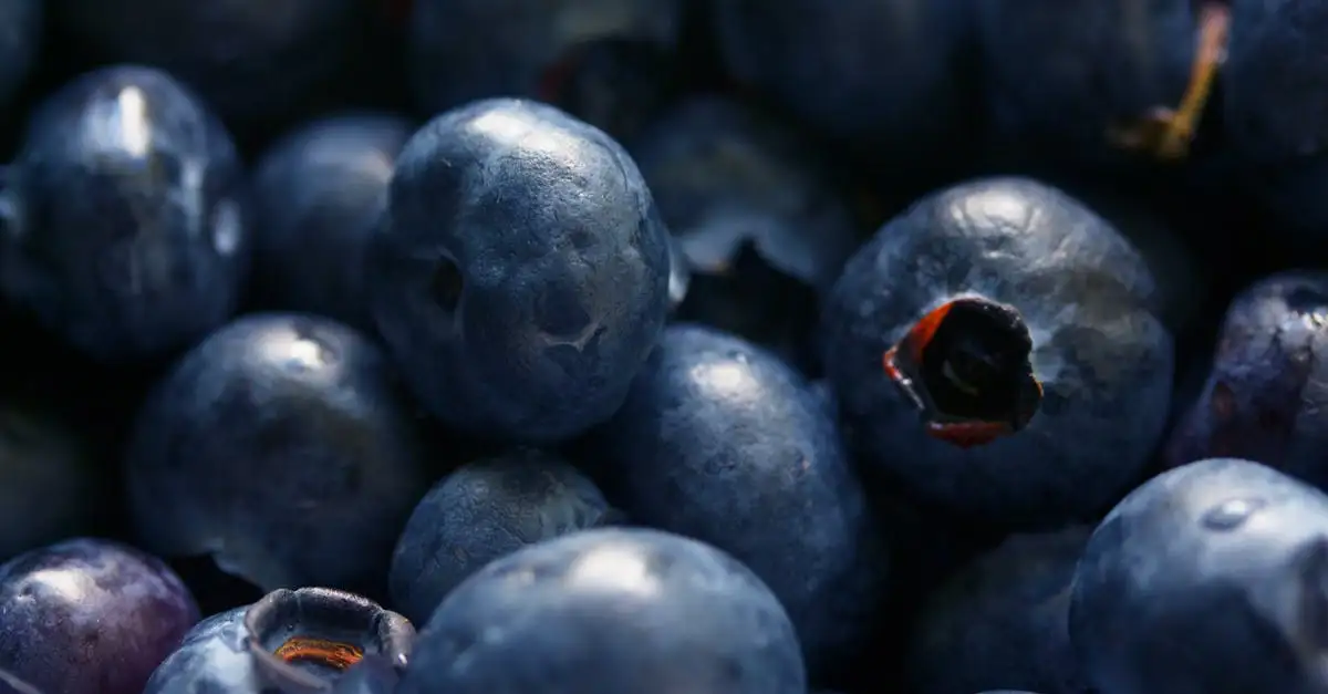 Veganistische lekkernijen