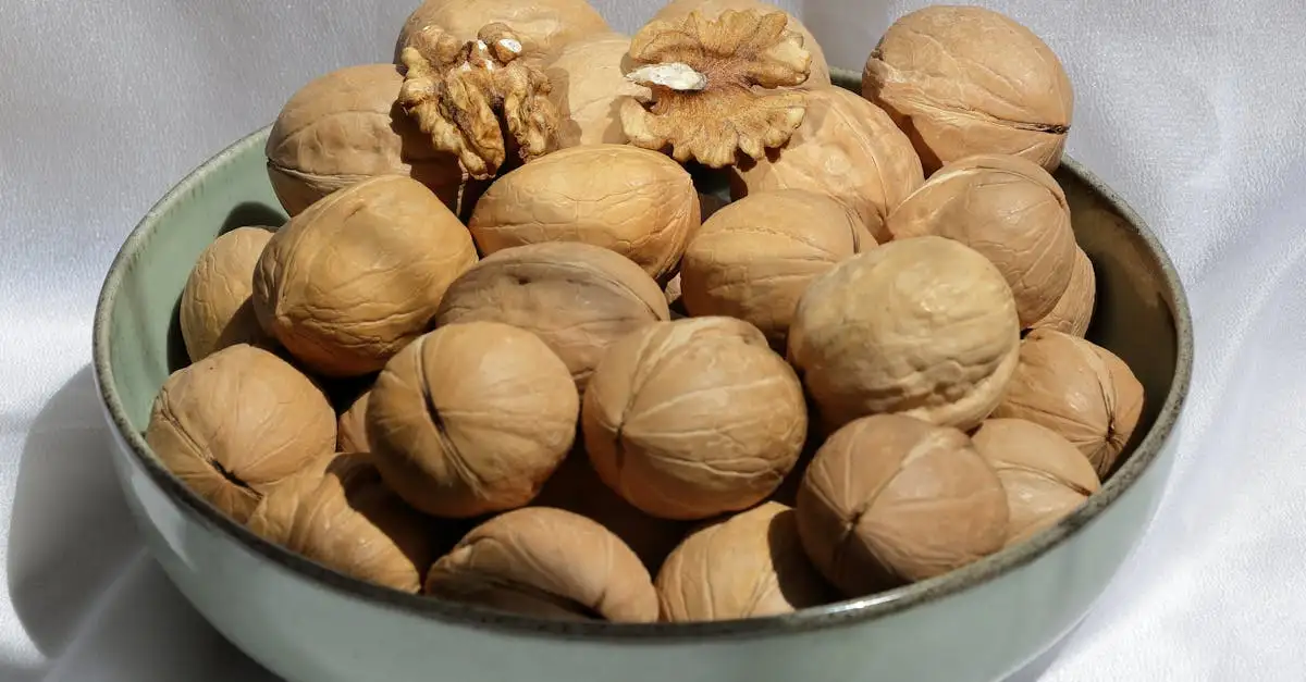 Veganistische notenballetjes