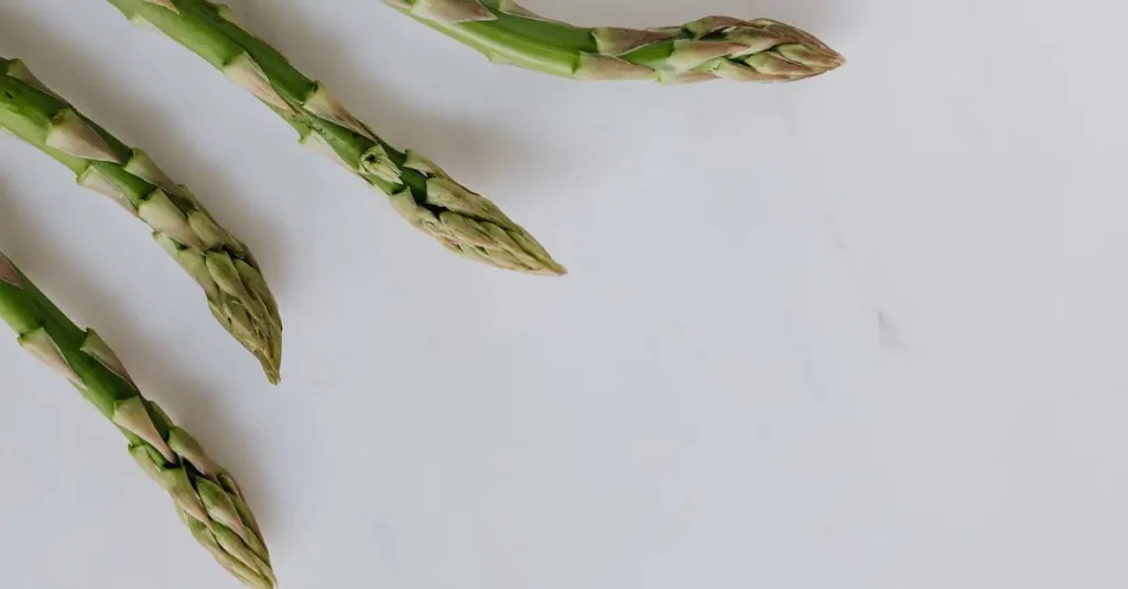 Veganistische recepten met asperges