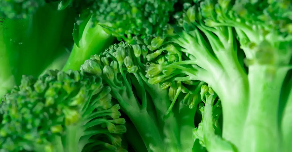 Veganistische recepten zonder koolhydraten