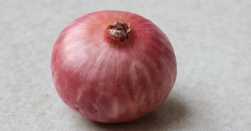 Veganistische voedingsmiddelen