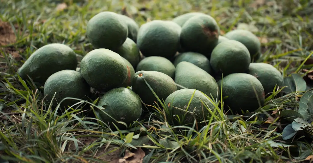 Veganistische voedingsmiddelen